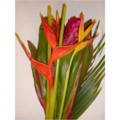 Heliconia Bqt (Varieties Included may Vary to image)