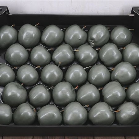 WAXED APPLES - OLIVE GREEN