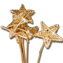 Gold Lata Star Picks 8cm wide
