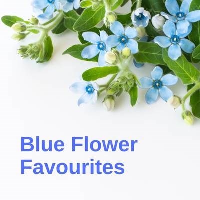 Blue Flowers Inspiration 