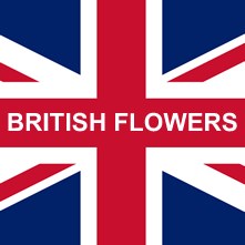 British Flowers