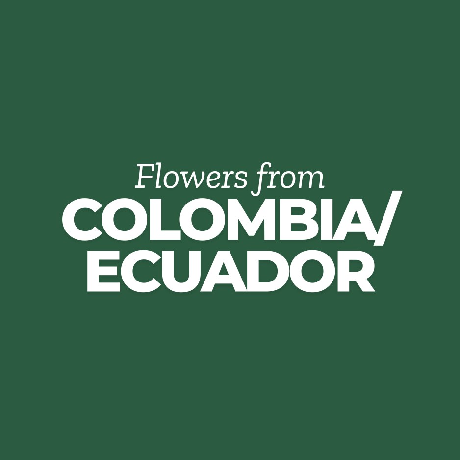 Colombian and Ecuadorian Flowers