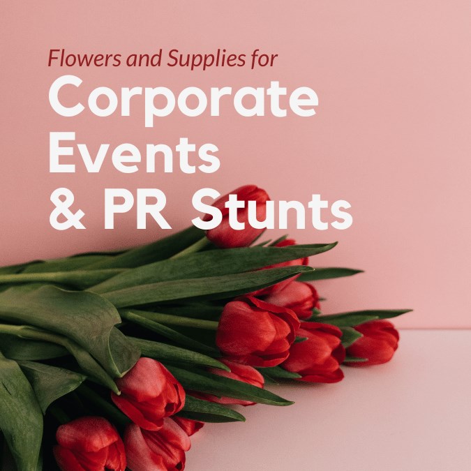 PR & Corporate Picks