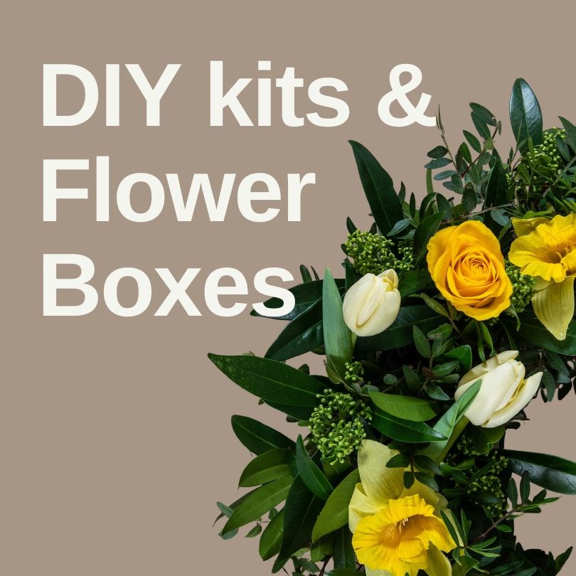 DIY All Inclusive Flower Boxes & Kits