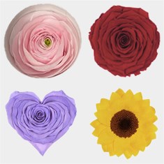 Luxury - Preserved Roses & Flowers