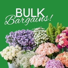 Bulk Bargains