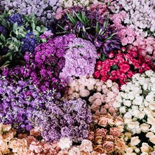 Wholesalers Choice Bulk Flower Boxes
