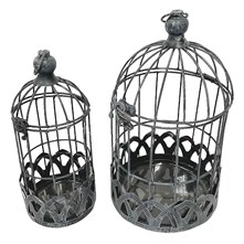 Bird Cages