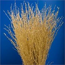 Decorative Branches