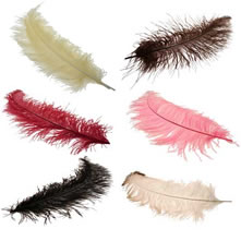 Feathers