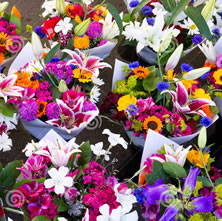 Pre-Made Bouquets