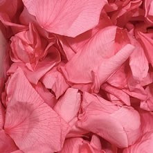 Preserved Rose Petals (Bio Confetti)