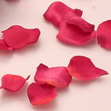 Silk Rose Petals
