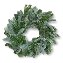Rings - Spruce, Moss & Deco