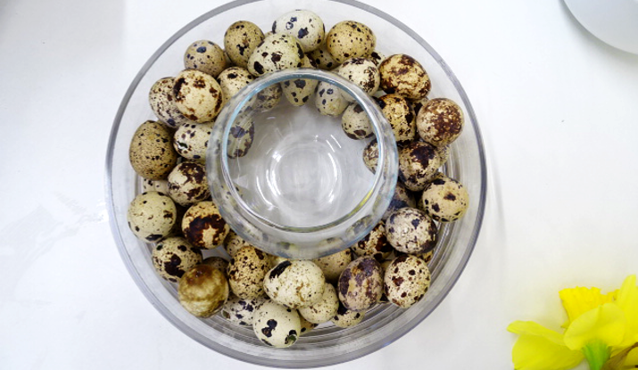 Place the smaller vase into the larger vase and surround with the quails’ eggs.
