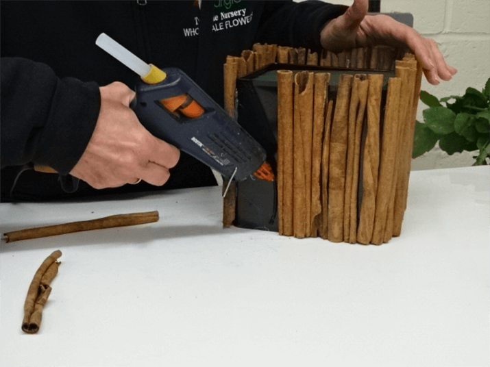 Start by decorating your container. Here, we have glued the cinnamon sticks to the plastic cube container using a hot glue gun. Make sure you keep the glue gun out of the reach of children and read the safety precautions carefully.                                                  