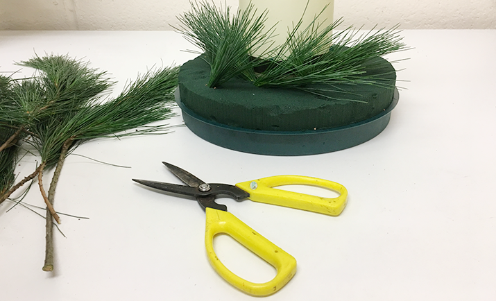 Using the pinus strobus and blue spruce first to create the base and the shape of your arrangement either - oval or circular