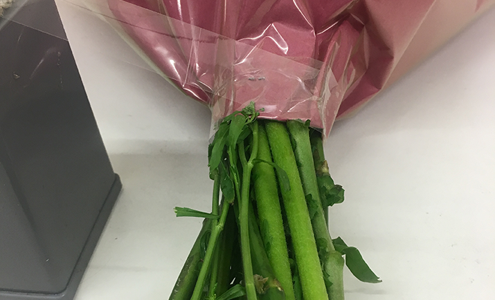 To secure the wrap to the bouquet, you now need to sellotape around the tying point (on the wrap).