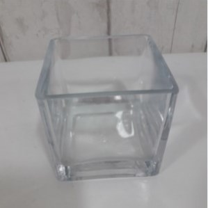 Glass Cube Vase - 11cm