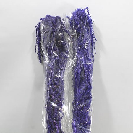 AMARANTHUS DYED DARK PURPLE (DRIED)