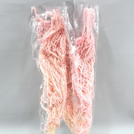 AMARANTHUS HANGING LIGHT PINK PRESERVED