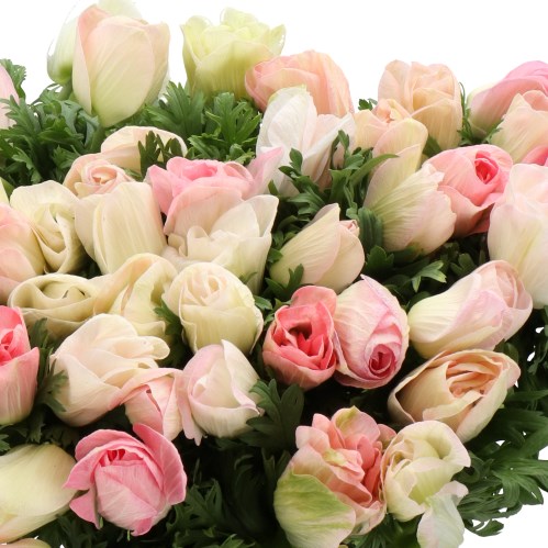 ANEMONE MISTRAL + APRICOT