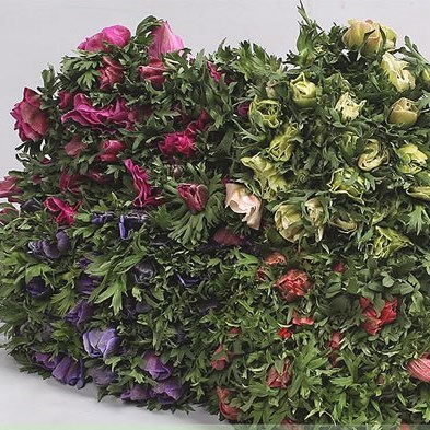 ANEMONE MISTRAL + MIX (COLS MAY VARY)