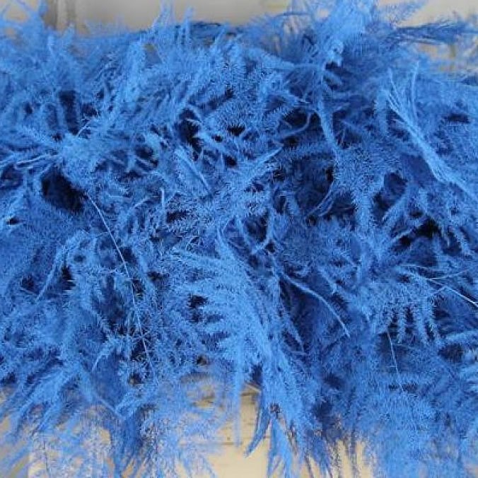 ASPARAGUS FERN DYED BLUE