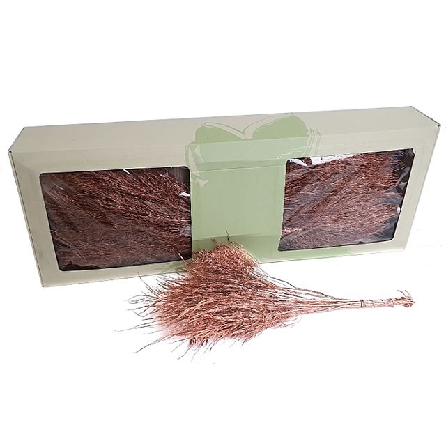 ASPARAGUS TREE FERN PRESERVED COPPER