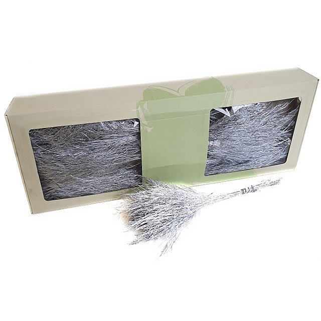 ASPARAGUS TREE FERN PRESERVED SILVER