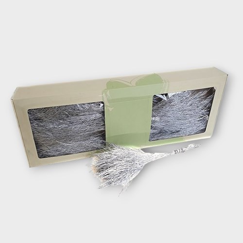 ASPARAGUS TREE FERN PRESERVED SILVER