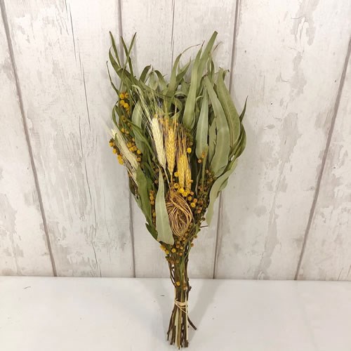 Acacia Mimosa Bouquet (Dried)