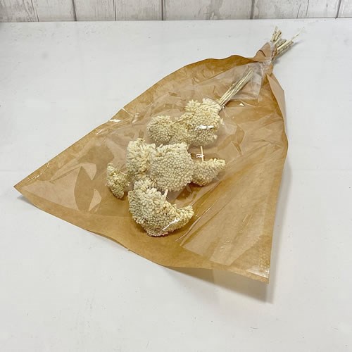 Achillea Filipendulina Bleached - Dried