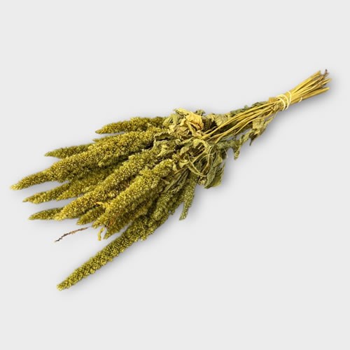 Amaranthus Green (Dried)