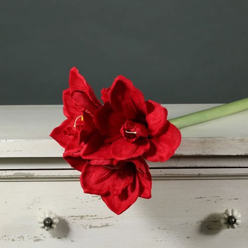 Artificial Faux Hippeastrum Stems - Red