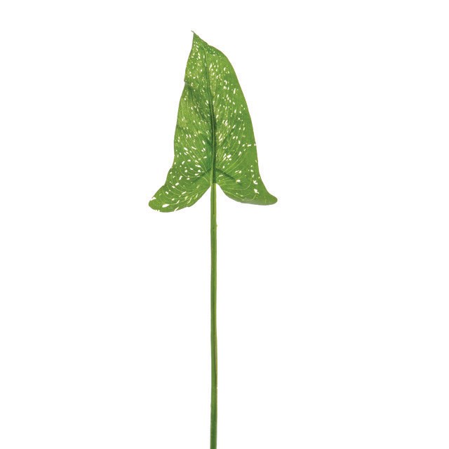 Artificial Calla Lily Leaf