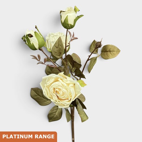 Artificial Faux Dried Cabbage Rose Spray (Cream)