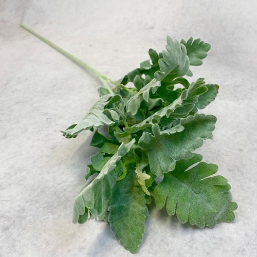 Artificial Faux Dusty Miller Spray Green