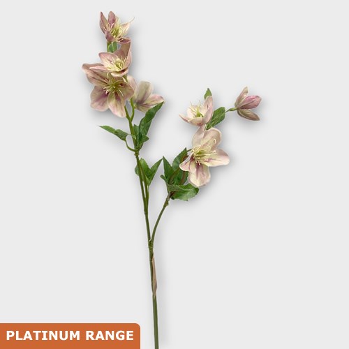 Artificial Faux Hellebores Cream/Purple
