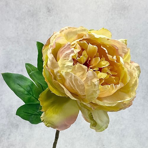 Artificial Faux Peony Blush Cream 71cm Wholesale Dutch Flowers & Florist Supplies UK