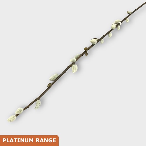 Artificial Faux Pussy Willow