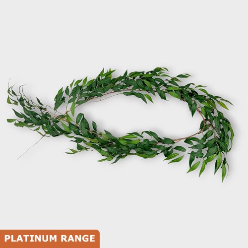 Artificial Faux Soft Ruscus Garland 180cm