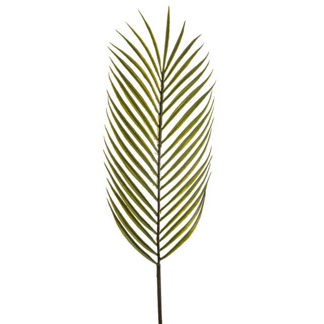 Artificial Kentia Palm Leaf