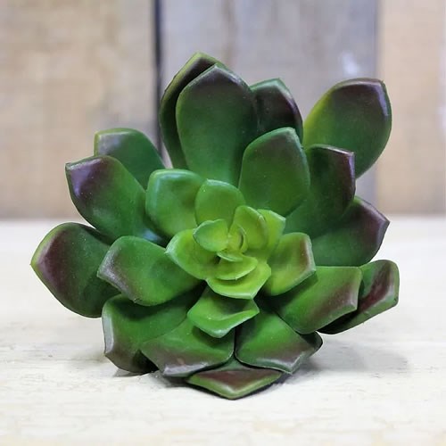 Artificial Succulents 12cm Wholesale Dutch Flowers Direct & Florist