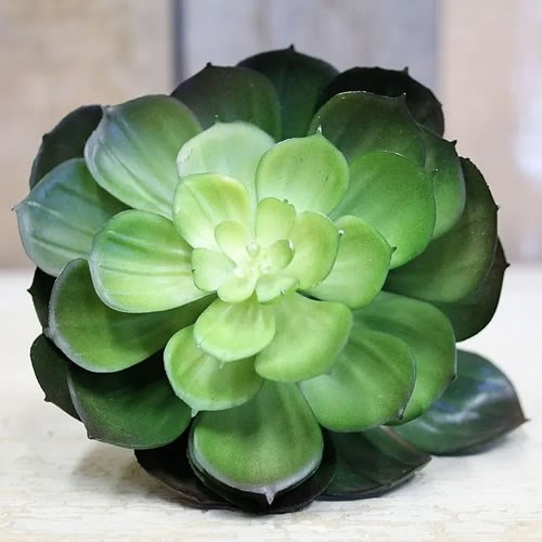 Artificial Succulents 15cm Wholesale Dutch Flowers Direct & Florist