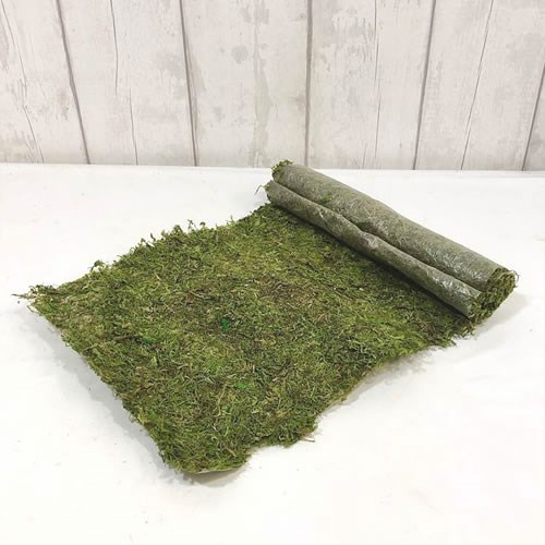 Asia Preserved Moss Sheet