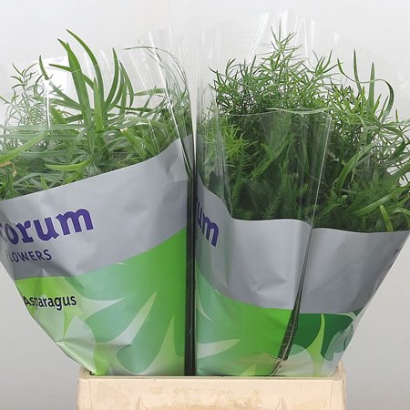Asparagus Mix
