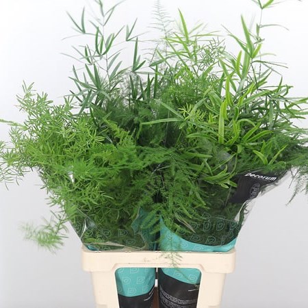 Asparagus Mix