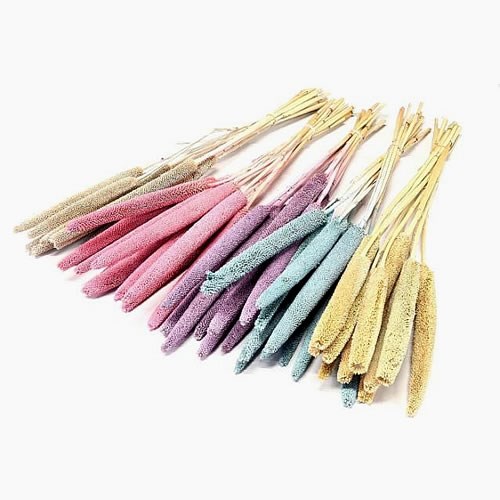 BABALA DYED FROSTED MIX - DRIED