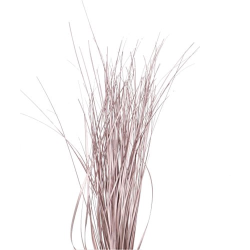BEARGRASS DYED CHAMPAGNE